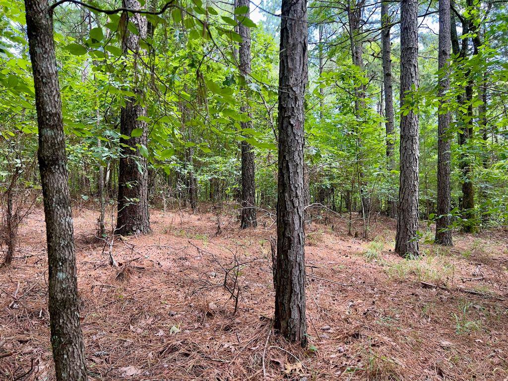 40 Trout Creek RD, Watson, OK 74963