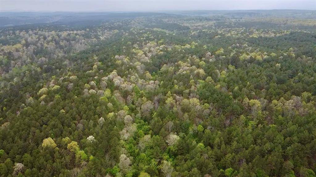 40 Trout Creek RD, Watson, OK 74963