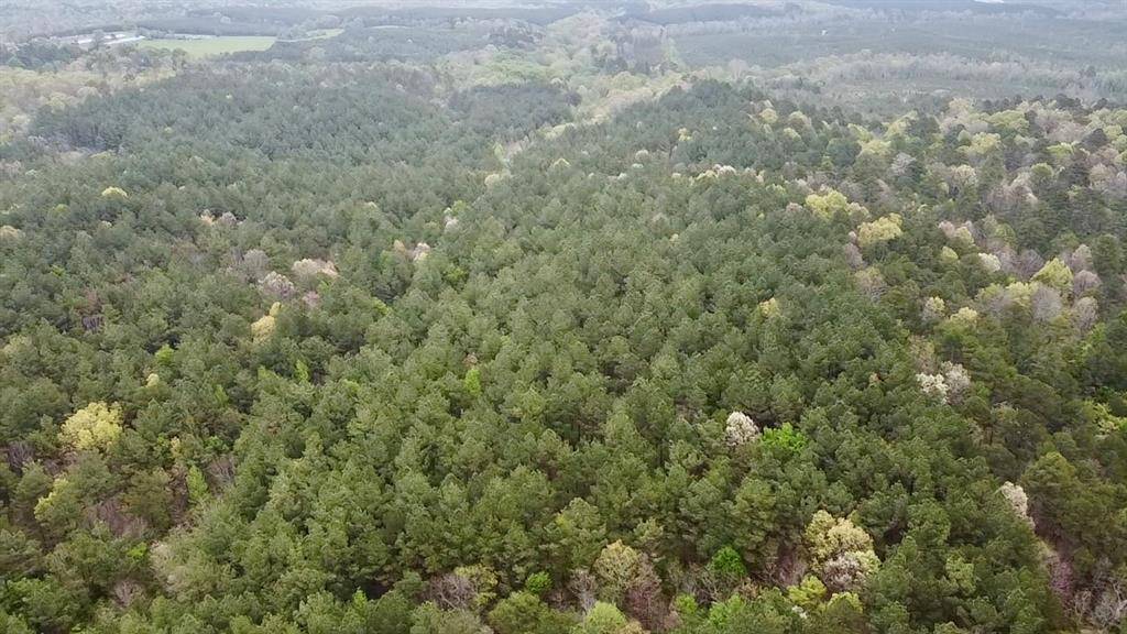 60 Trout Creek RD, Watson, OK 74963