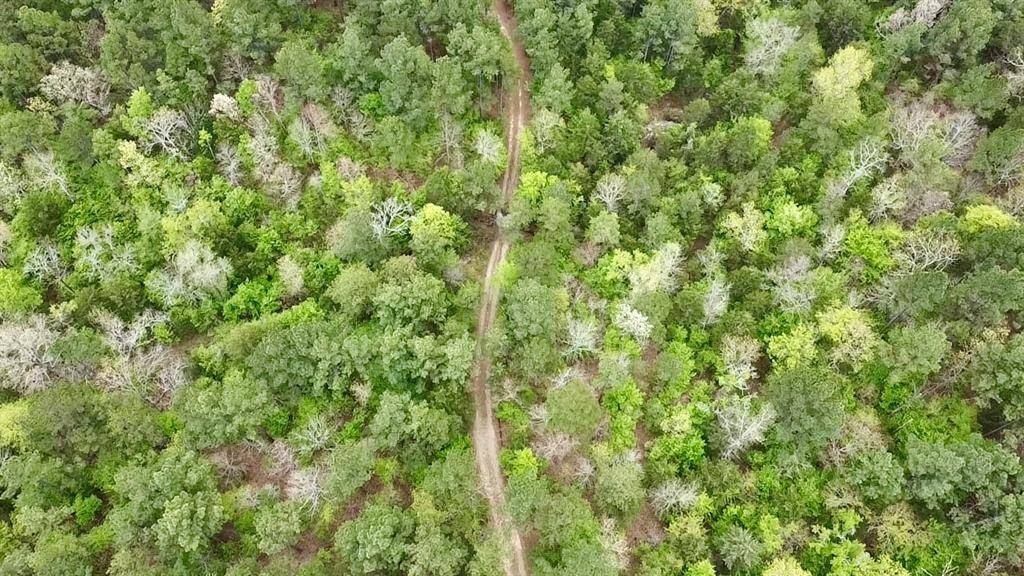 60 Trout Creek RD, Watson, OK 74963
