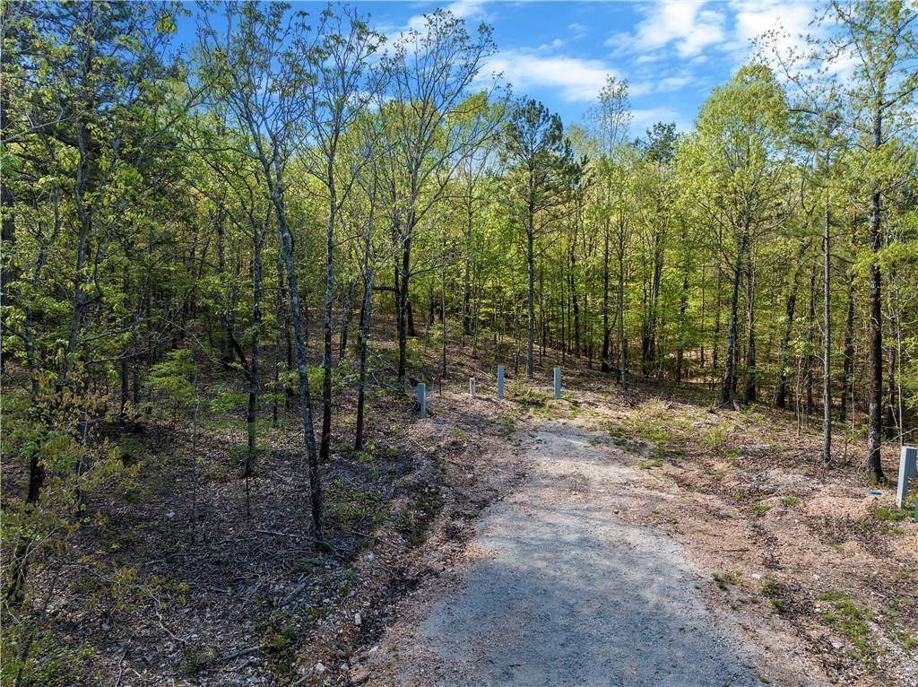 50 AJ Cedar TRL, Hochatown, OK 74728