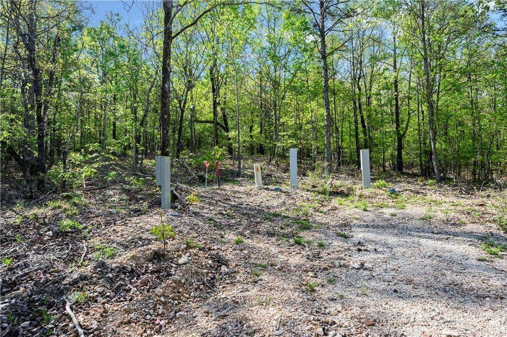 50 AJ Cedar TRL, Hochatown, OK 74728