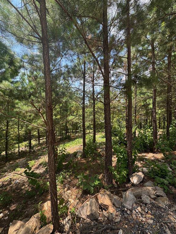 155 Charmed Ridge LN, Broken Bow, OK 74728