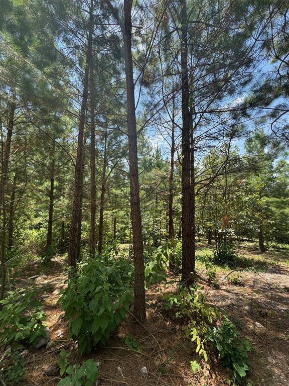 155 Charmed Ridge LN, Broken Bow, OK 74728