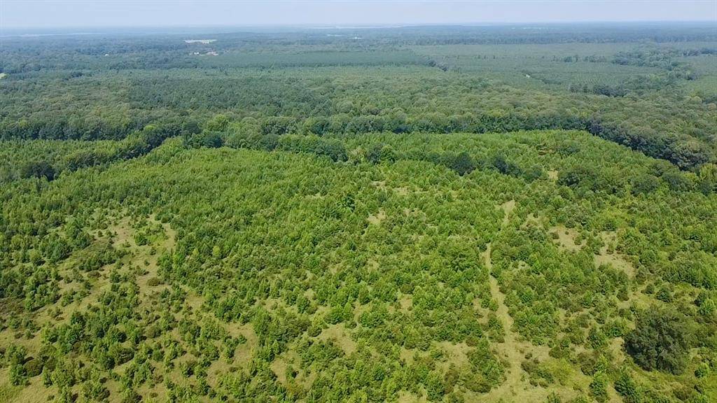80 Sand RD, Haworth, OK 74740