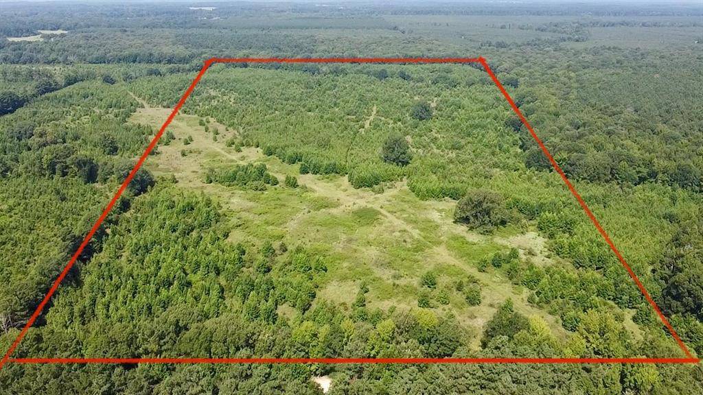 80 Sand RD, Haworth, OK 74740