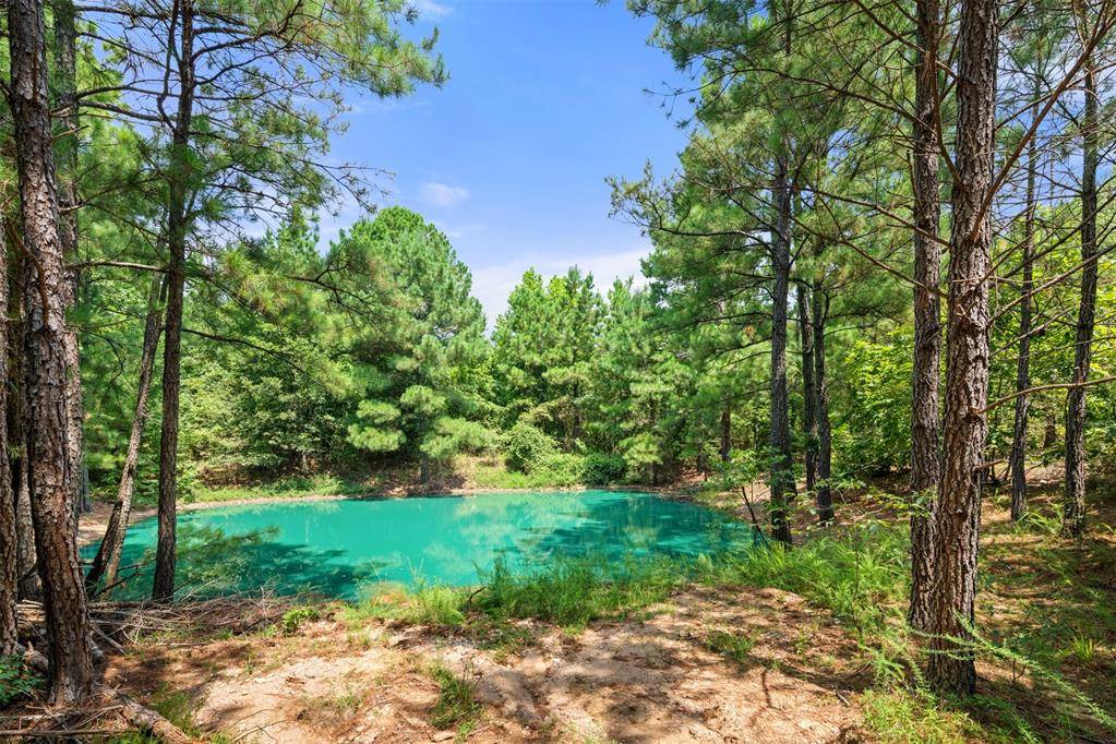 415 White Ash LN, Broken Bow, OK 74728