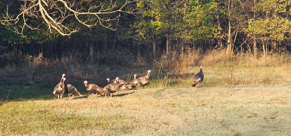 NS 372 RD, Holdenville, OK 74848
