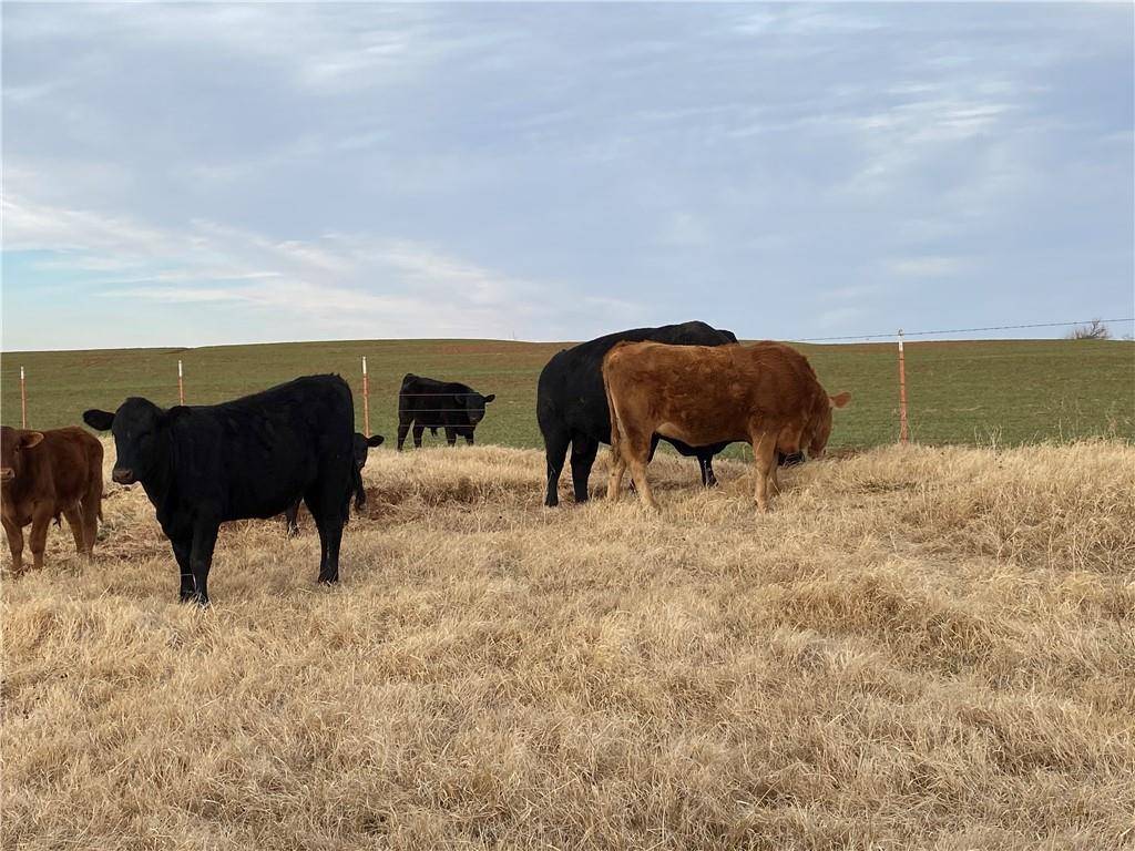 4800 Old Farm RD, El Reno, OK 73036