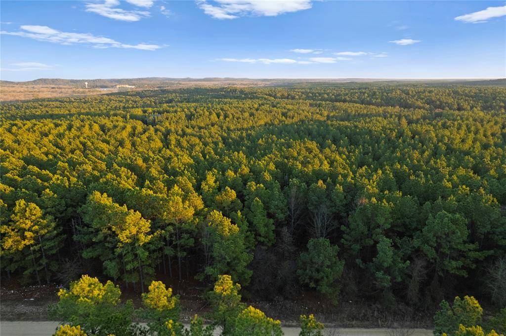 456 Pine Hills Lot 129 Track 1 RD, Broken Bow, OK 74728