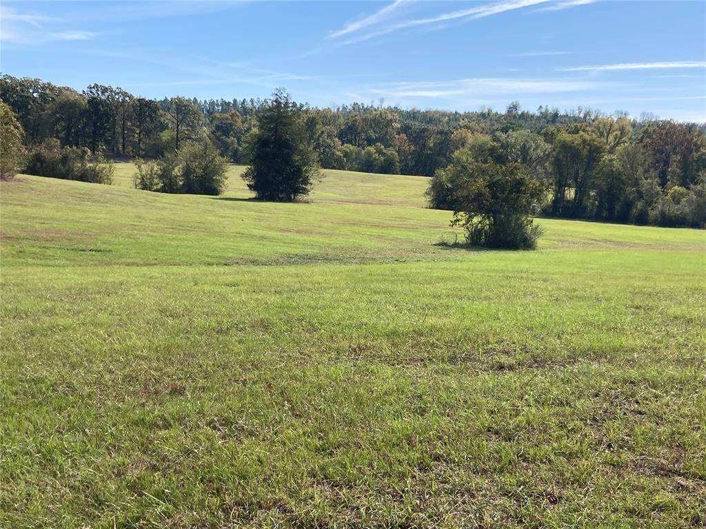 901 Sycamore Bend Loop, Broken Bow, OK 74728