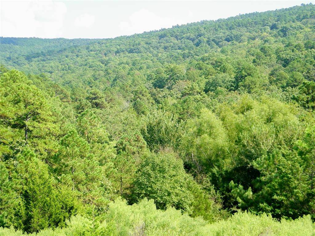 Mountain Road, Smithville, OK 74957