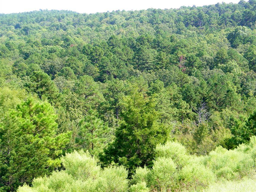 Mountain Road, Smithville, OK 74957