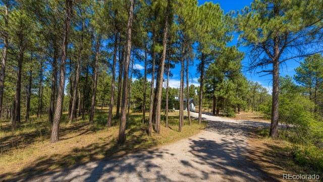 1251 Valley View DR, Larkspur, CO 80118