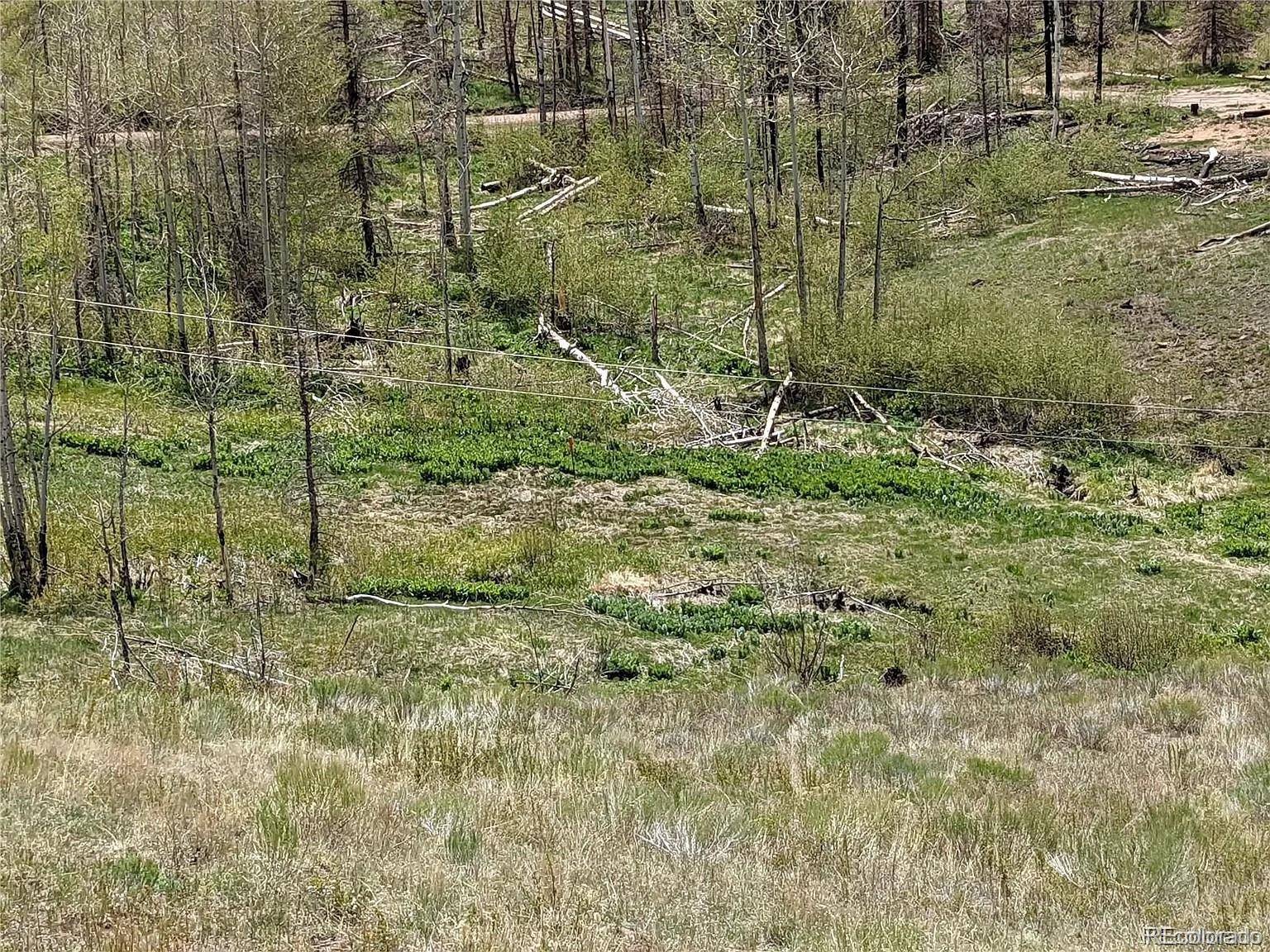 951 Van Fossan Lane, Fort Garland, CO 81133