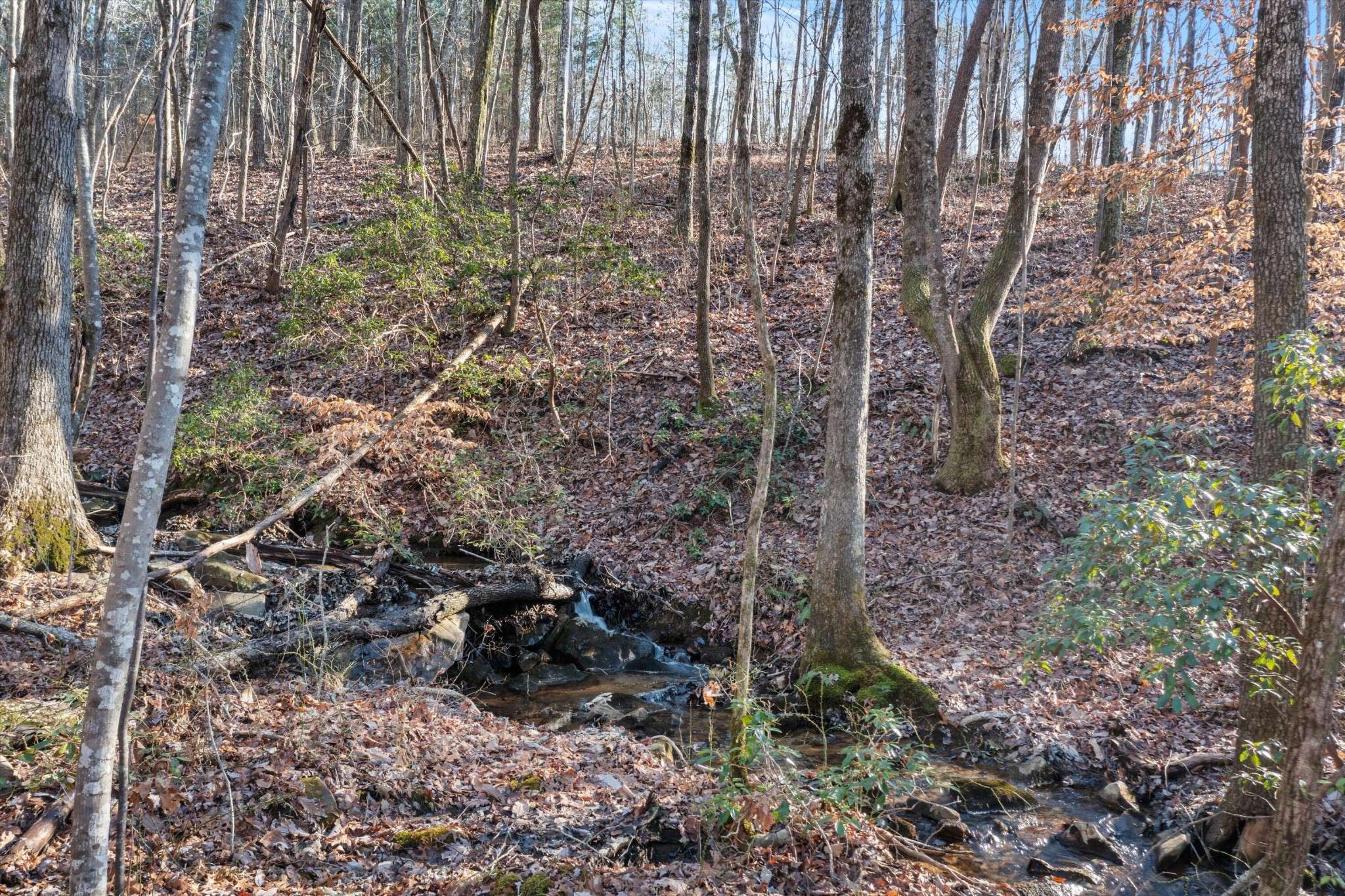 0 Cherokee Path, Jasper, TN 37347