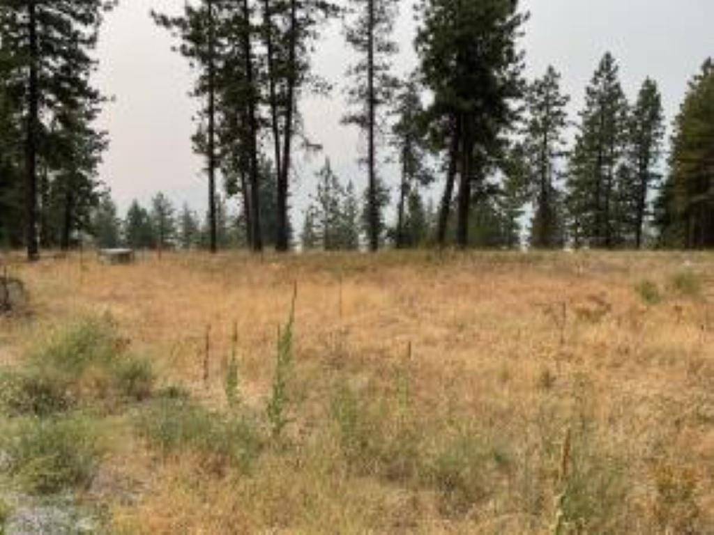 1606 PALMER LOOP, Chewelah, WA 99109