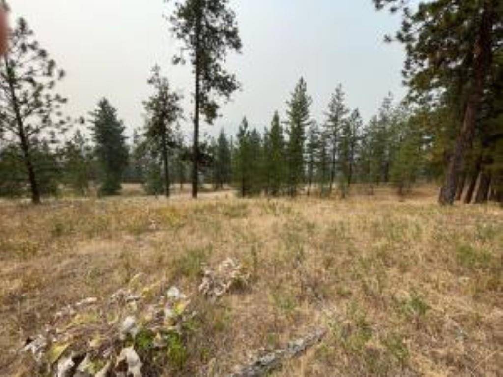 1606 PALMER LOOP, Chewelah, WA 99109