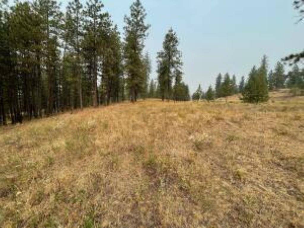 1606 PALMER LOOP, Chewelah, WA 99109