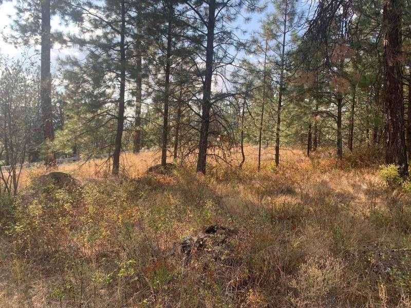 1618 Palmer LOOP, Chewelah, WA 99109