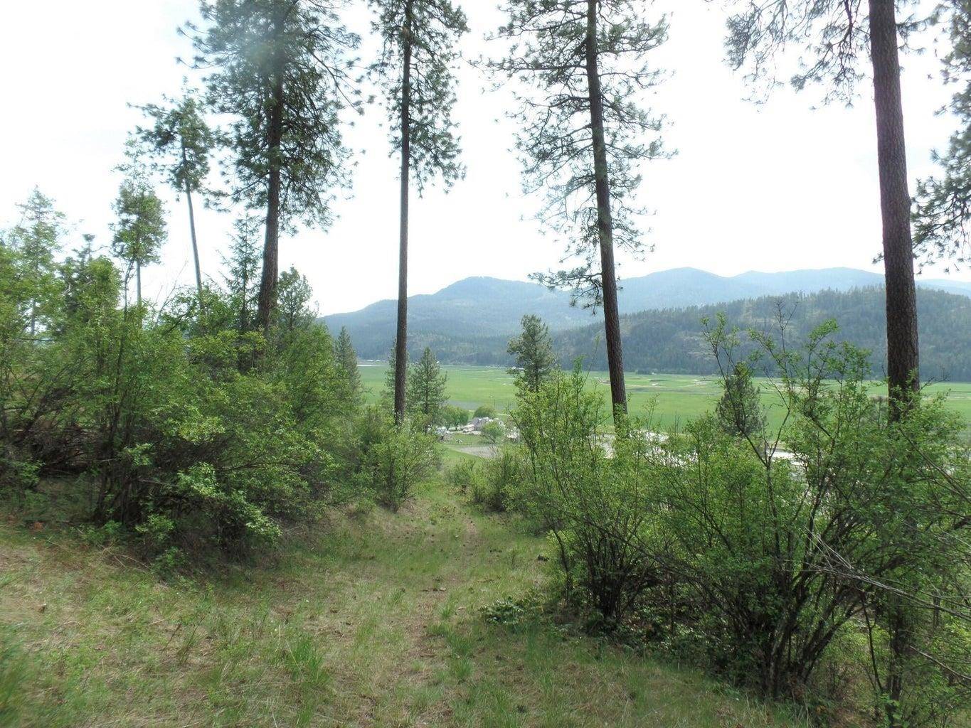 2XX Hwy 395 N #A Hwy, Colville, WA 99114