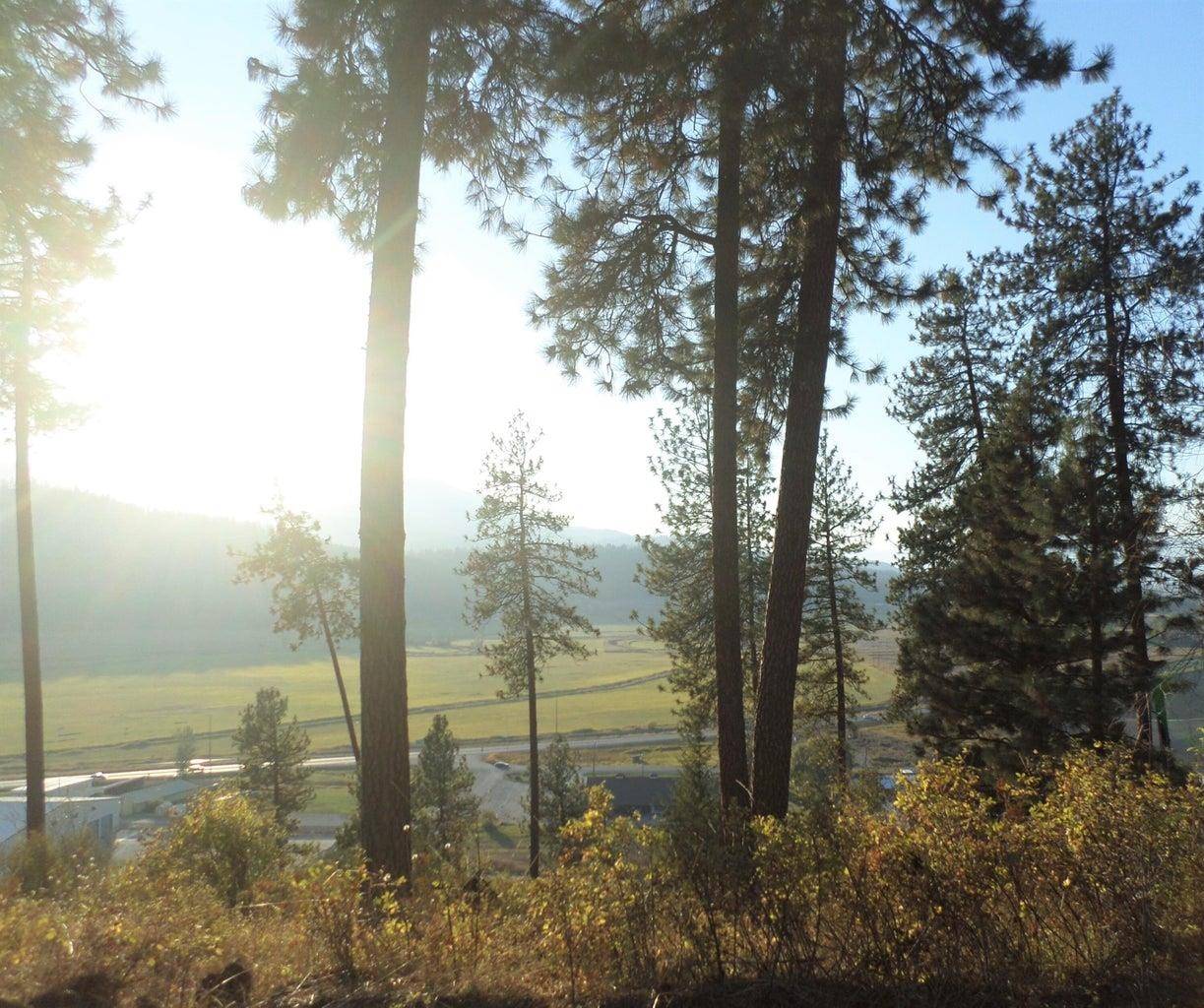 2XX Hwy 395 N #A Hwy, Colville, WA 99114