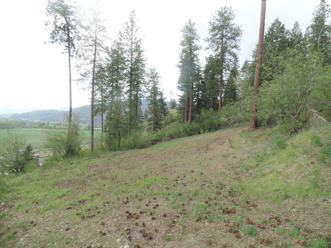 2XX N Hwy 395 #B Hwy, Colville, WA 99141