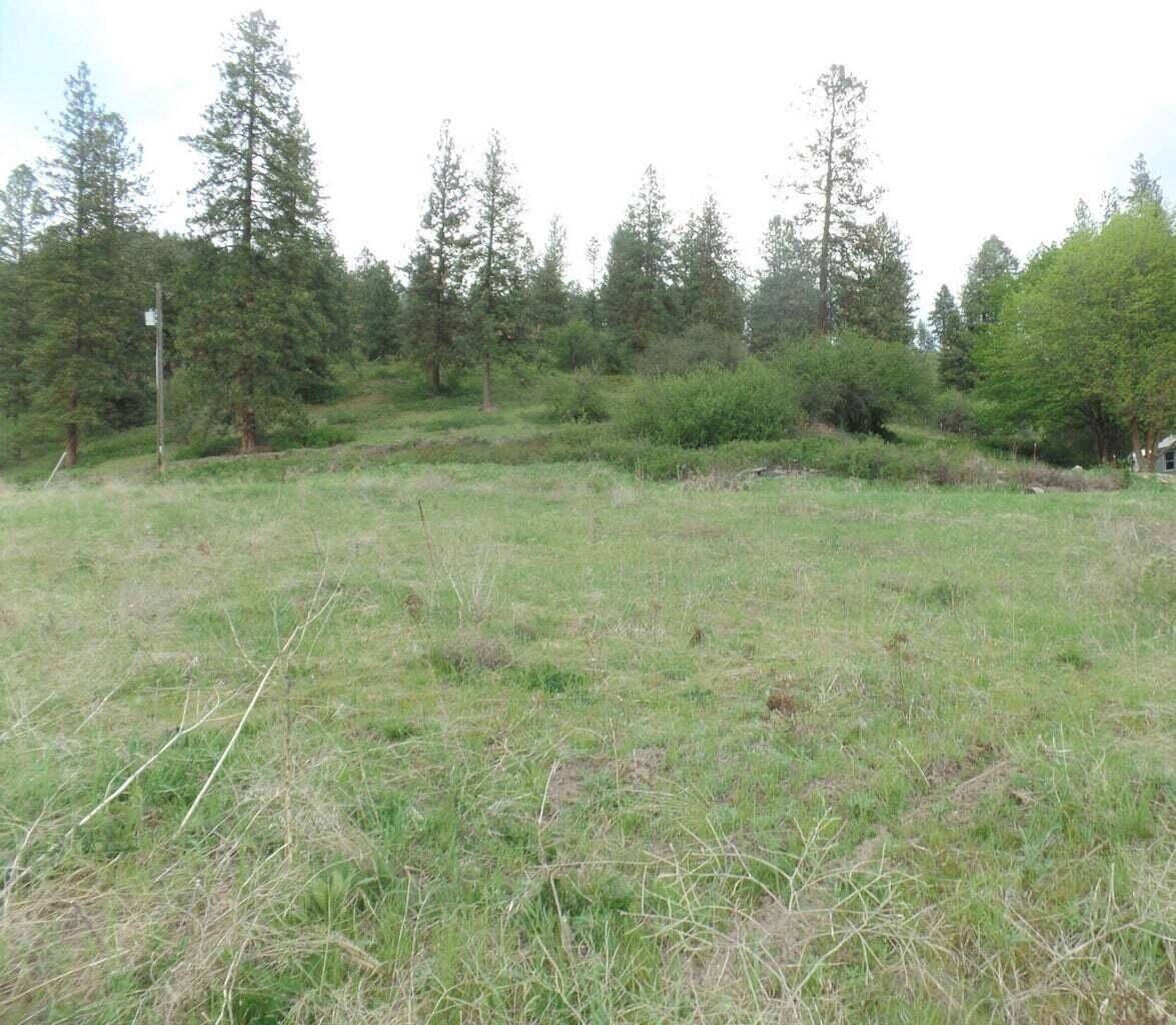 2XX HWY 395 #C Hwy, Colville, WA 99114