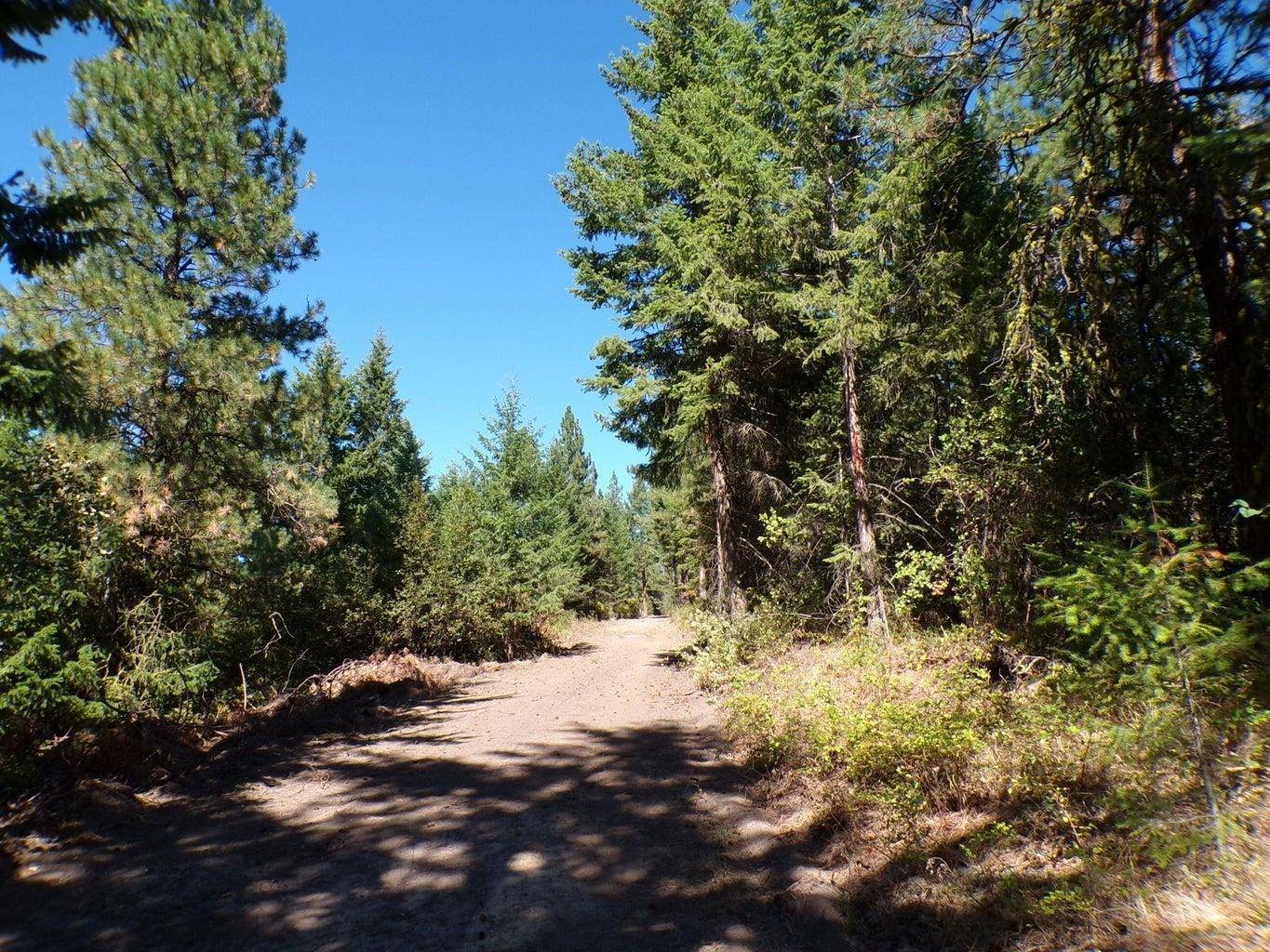 4XX A Buffy Ln, Inchelium, WA 99138