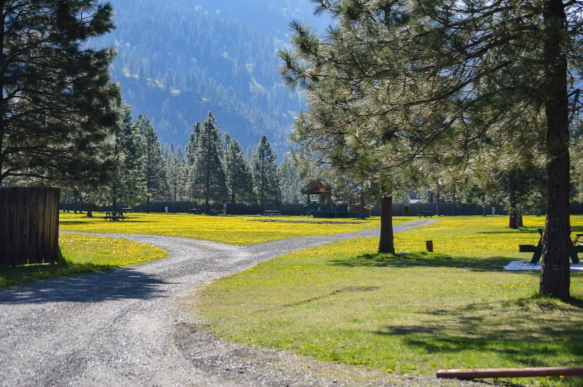26430 395 Hwy, Kettle Falls, WA 99141
