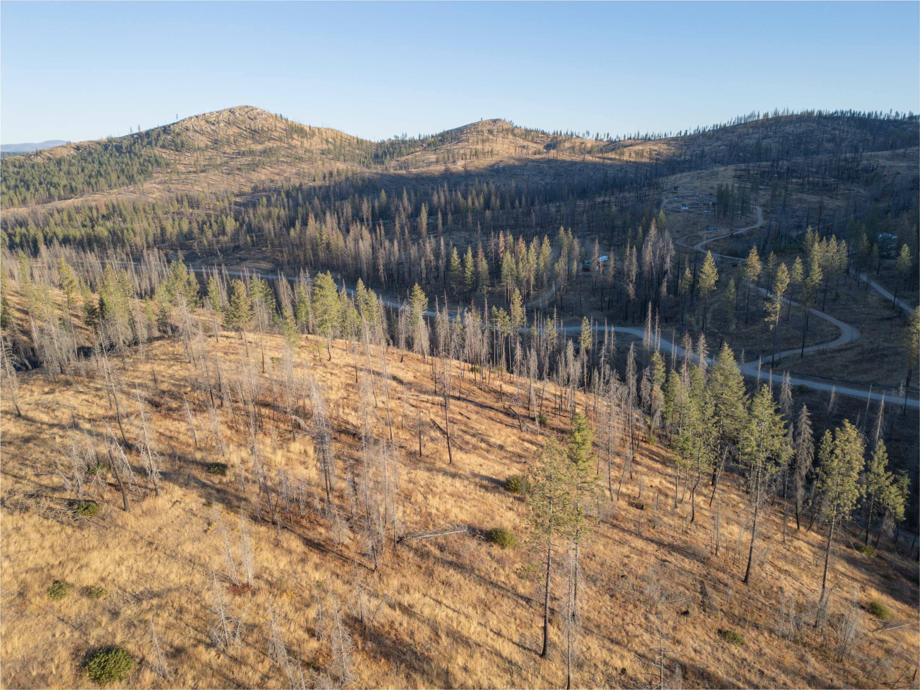 Lot 11 Rail Canyon Rd, Springdale, WA 99173