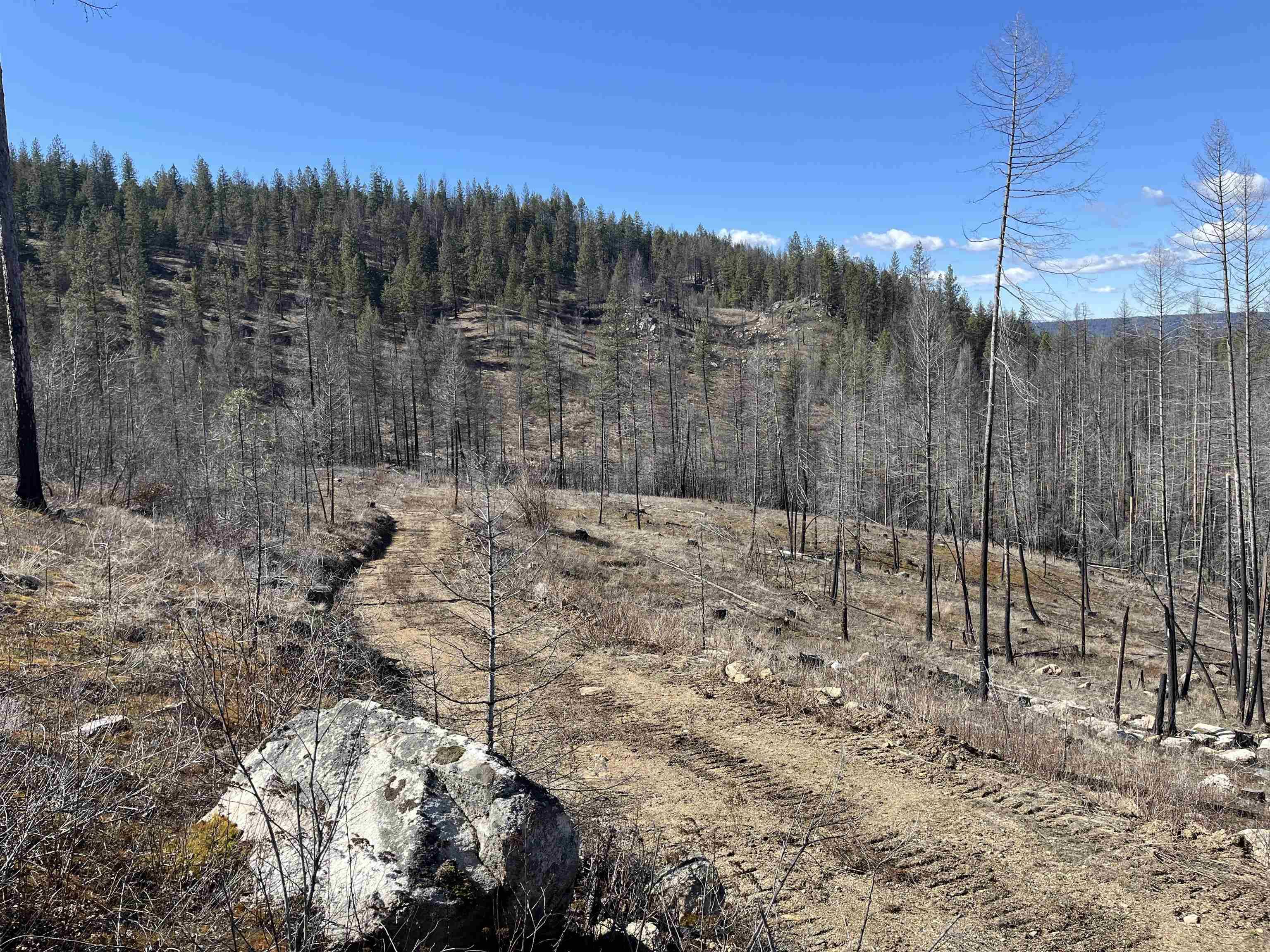 Lot 1 Rail Canyon Rd, Springdale, WA 99173