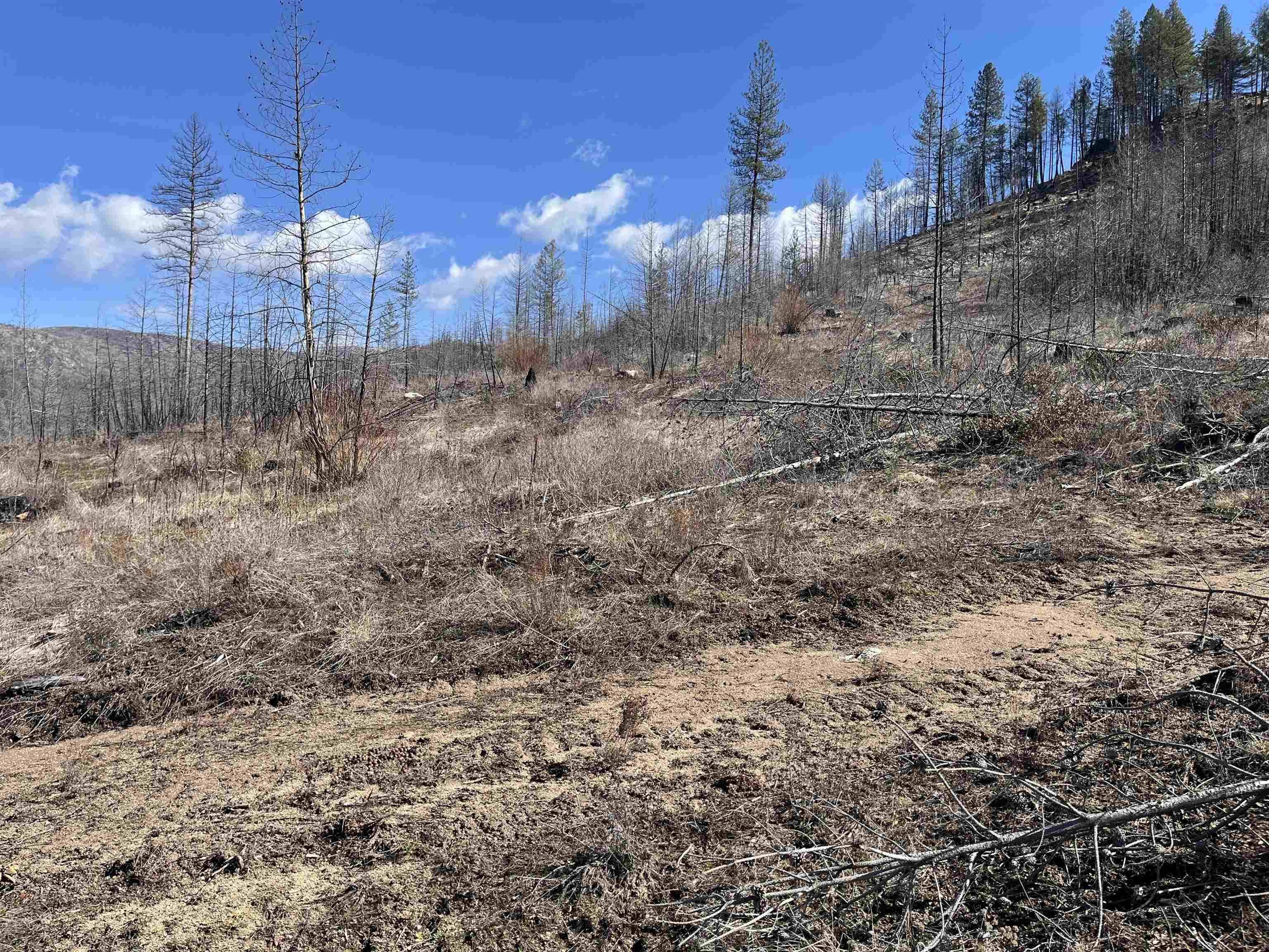 Lot 1 Rail Canyon Rd, Springdale, WA 99173