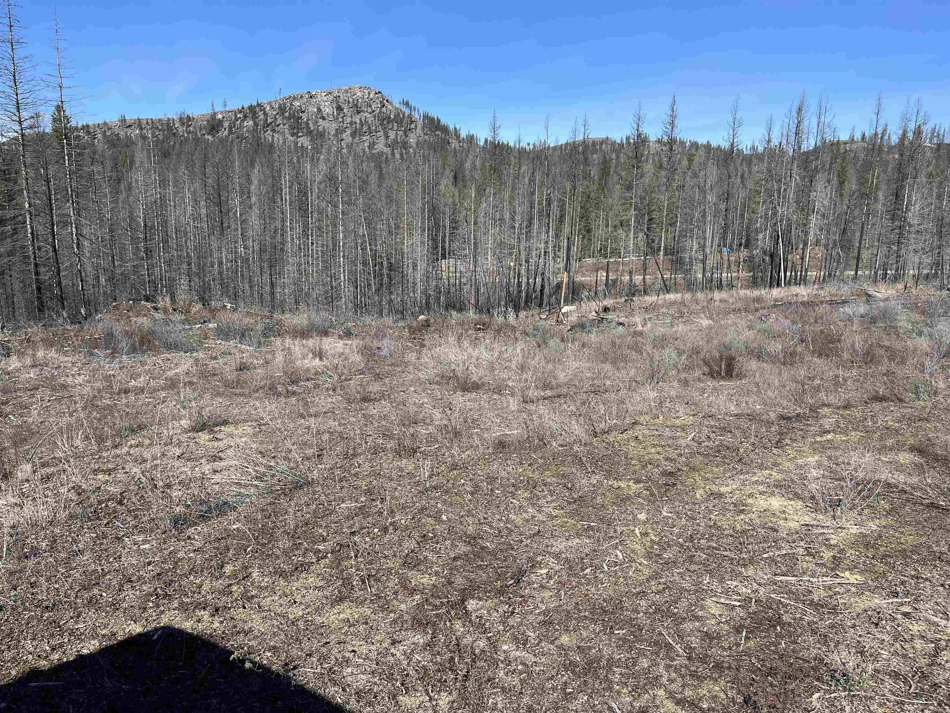 Lot 1 Rail Canyon Rd, Springdale, WA 99173