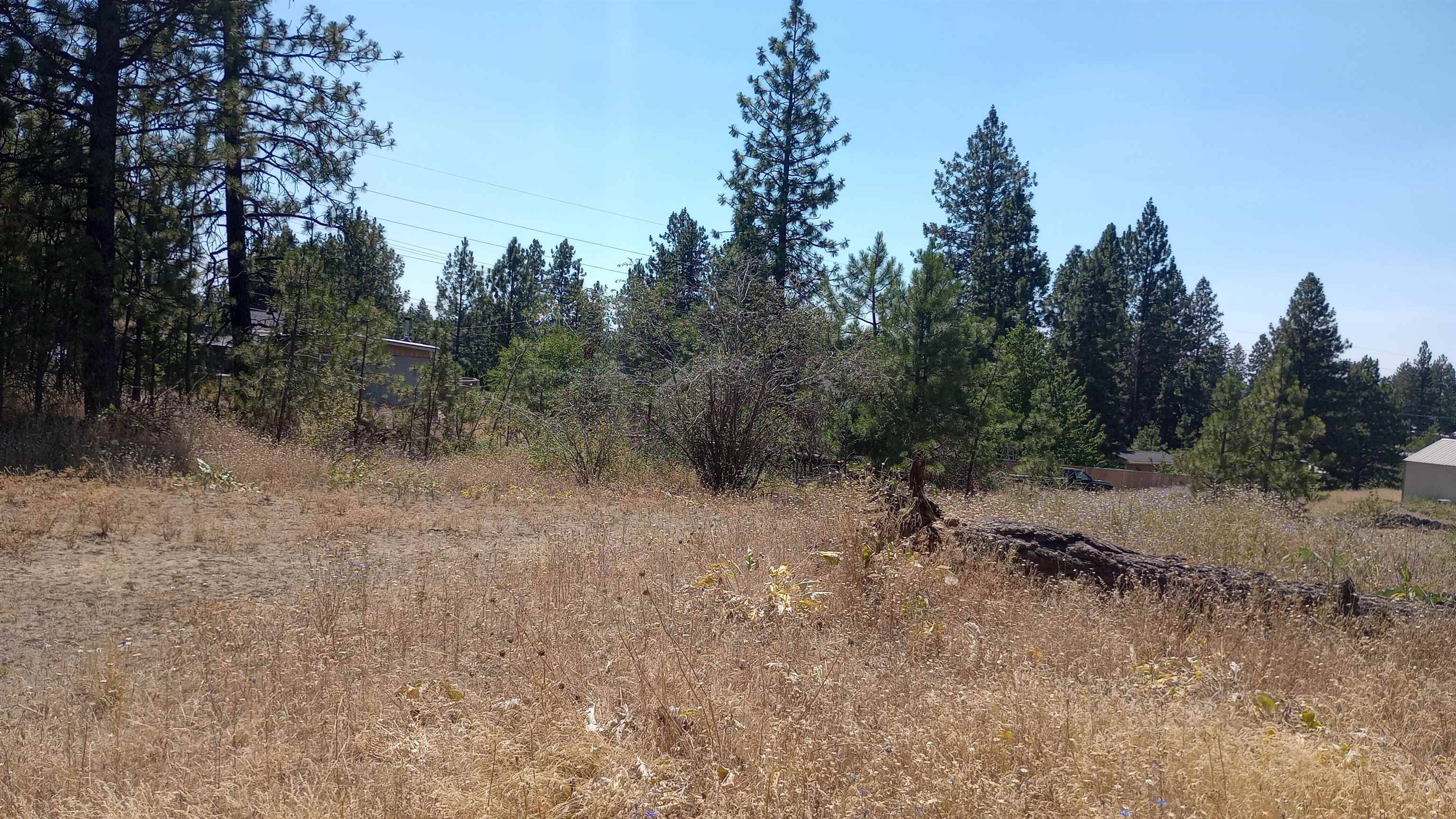 XX W 28th Ave, Spokane, WA 99224