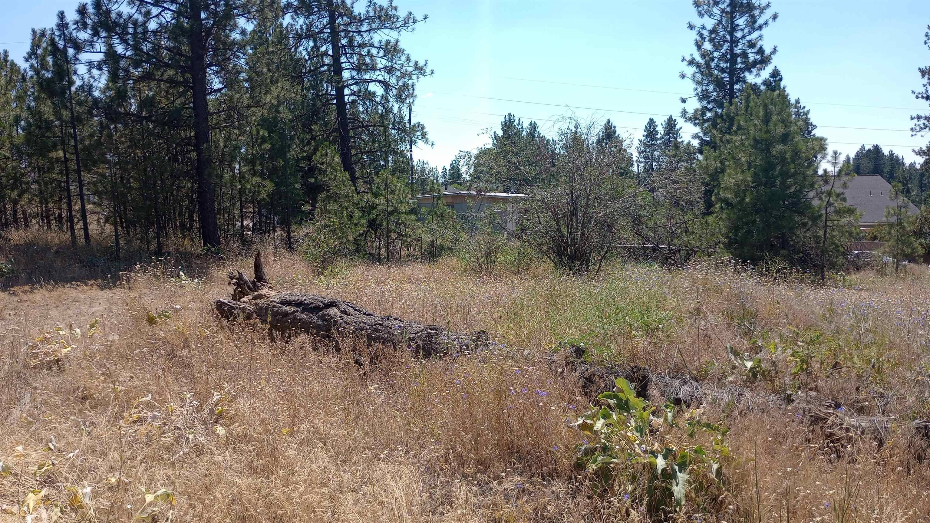 XX W 28th Ave, Spokane, WA 99224