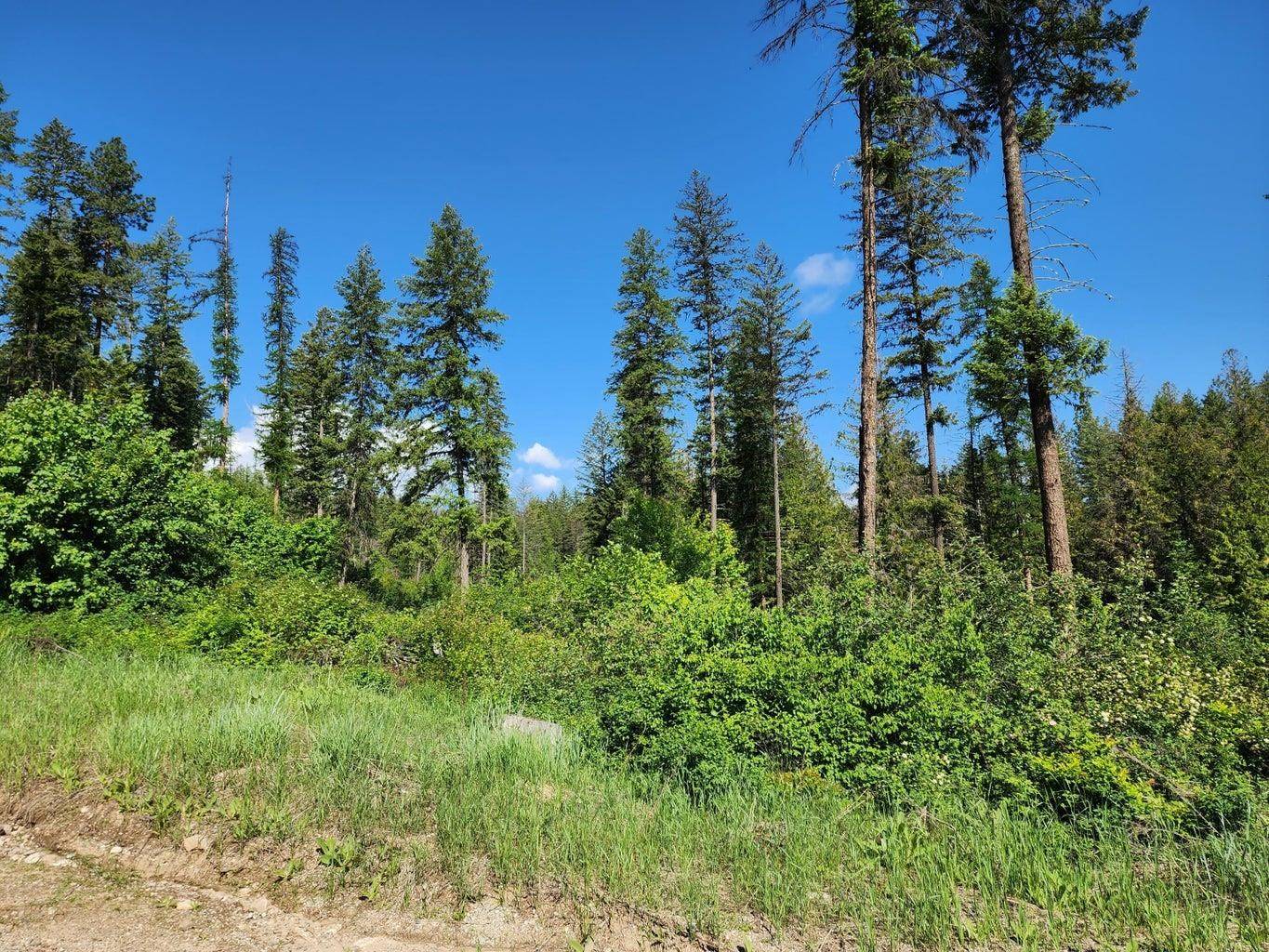 Lot 4 Matsen Creek Rd, Kettle Falls, WA 99141-0000