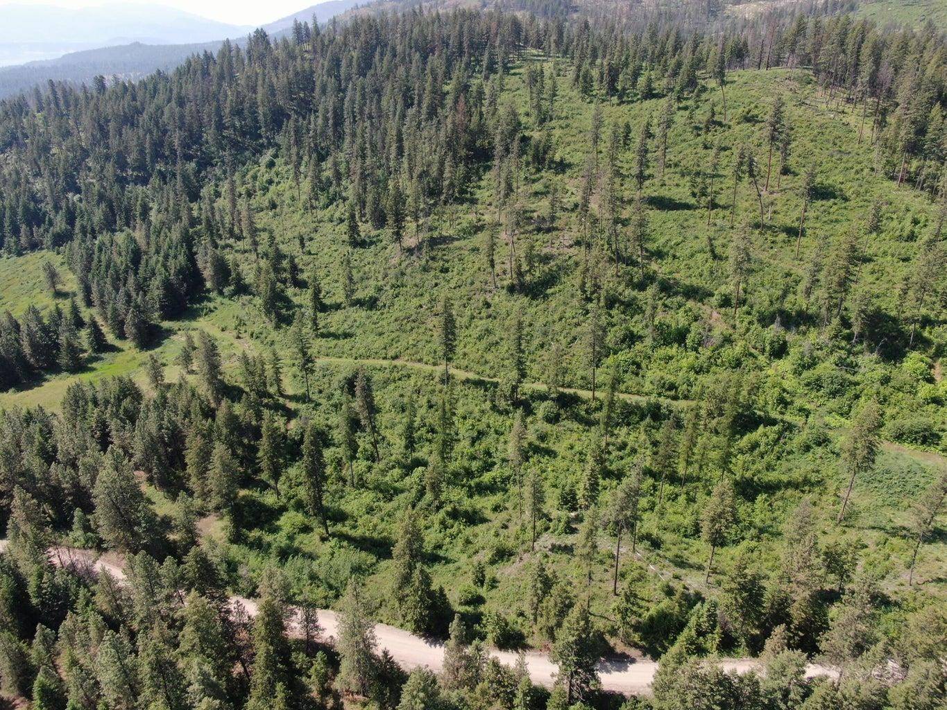 Lot 4 Matsen Creek Rd, Kettle Falls, WA 99141-0000