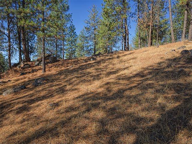 TBD Raven Ridge St, Nine Mile Falls, WA 99026
