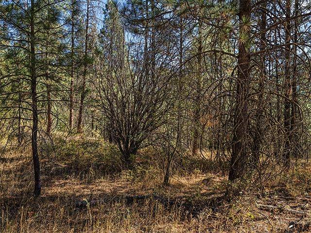 TBD Raven Ridge St, Nine Mile Falls, WA 99026
