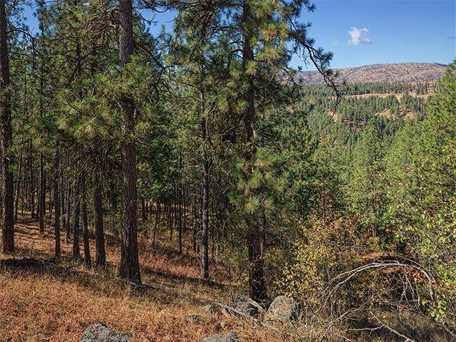 TBD Raven Ridge St, Nine Mile Falls, WA 99026