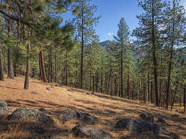 TBD Raven Ridge St, Nine Mile Falls, WA 99026