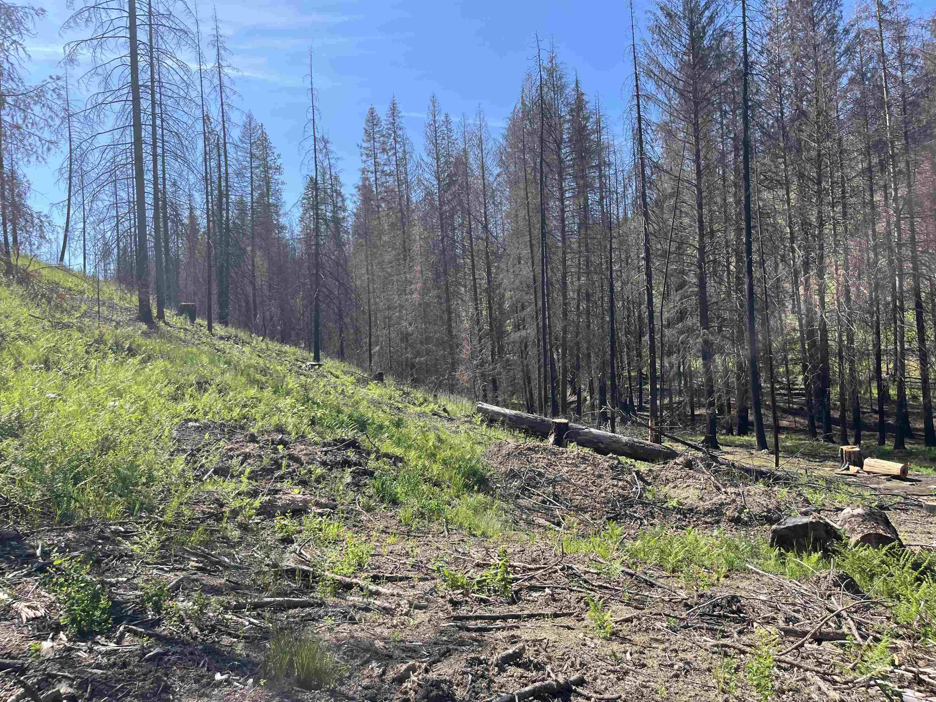 XXXXX N Jackson Rd, Elk, WA 99009