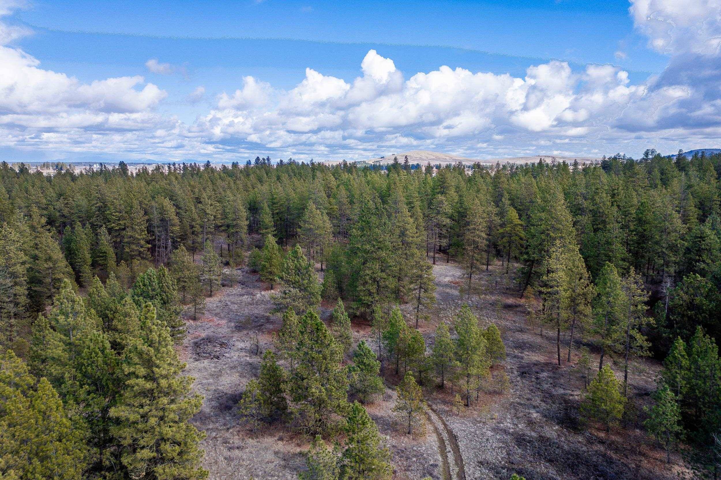 8700 S Stangland St, Medical Lake, WA 99022