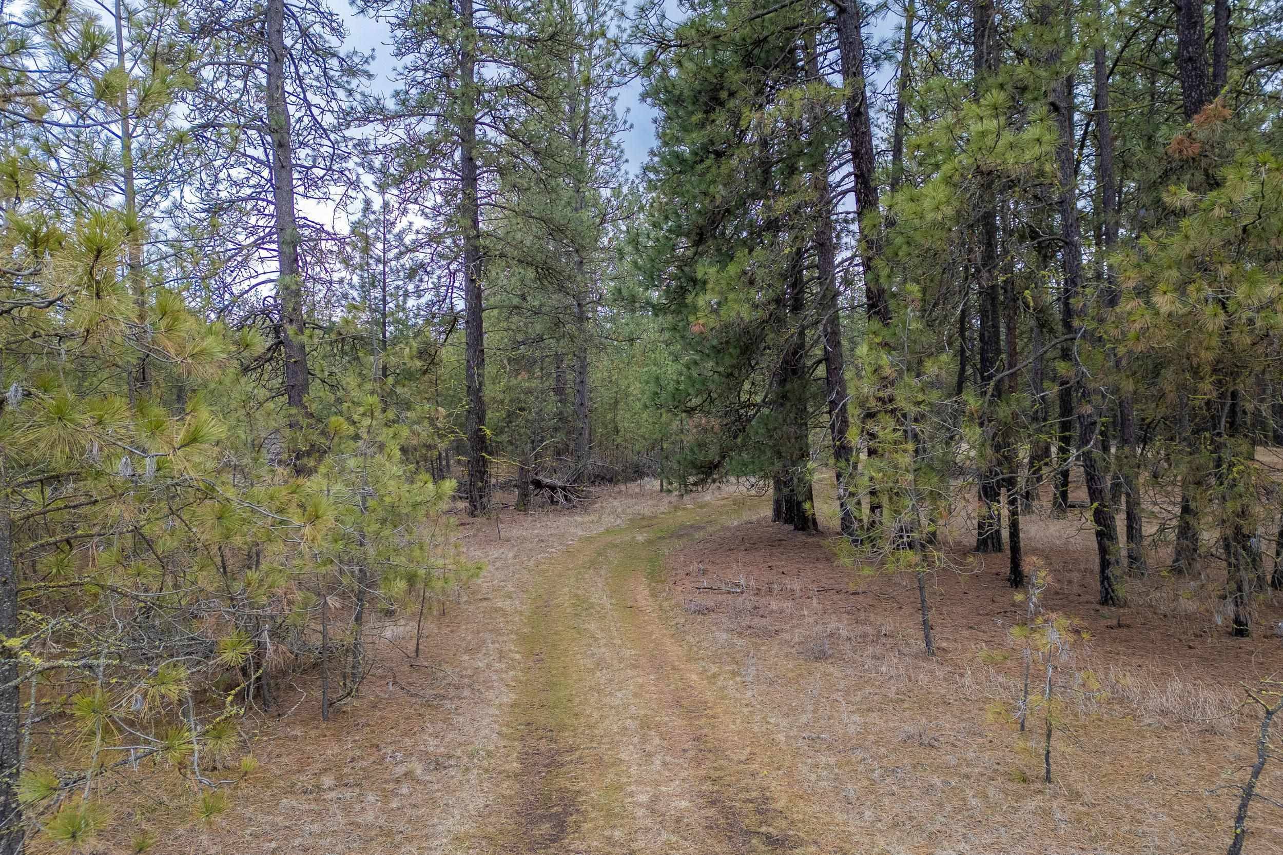 8700 S Stangland St, Medical Lake, WA 99022