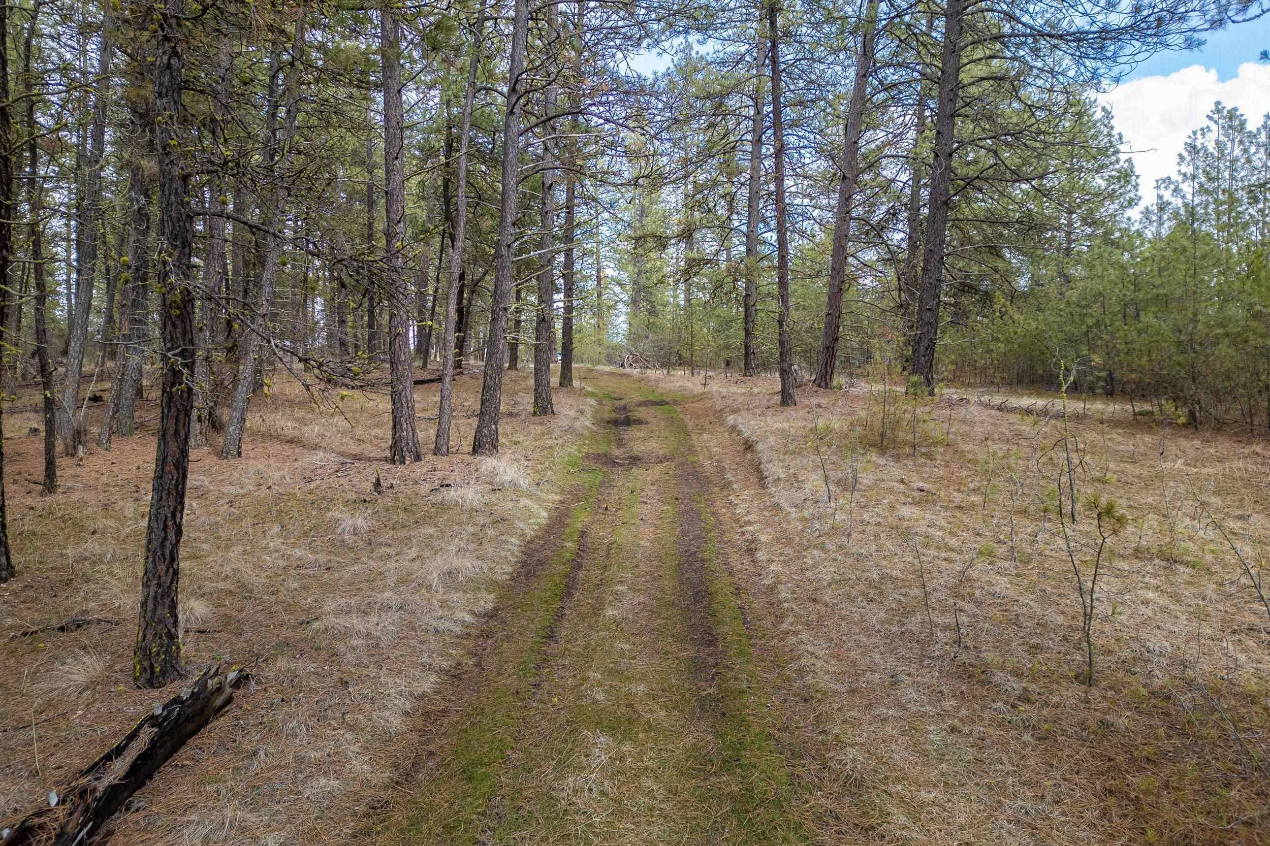 8700 S Stangland St, Medical Lake, WA 99022