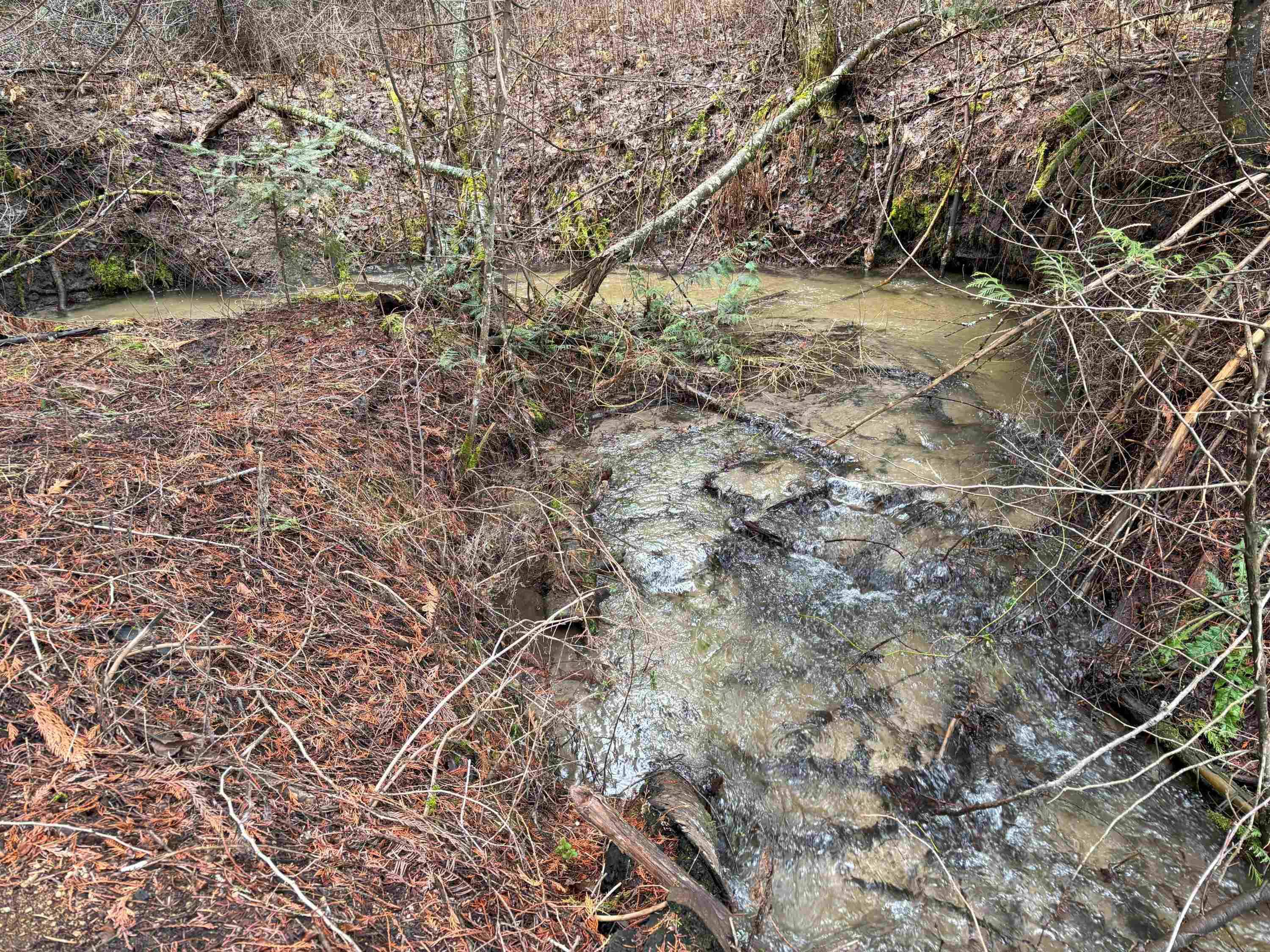 Lot 7 Rail Canyon Rd, Springdale, WA 99173