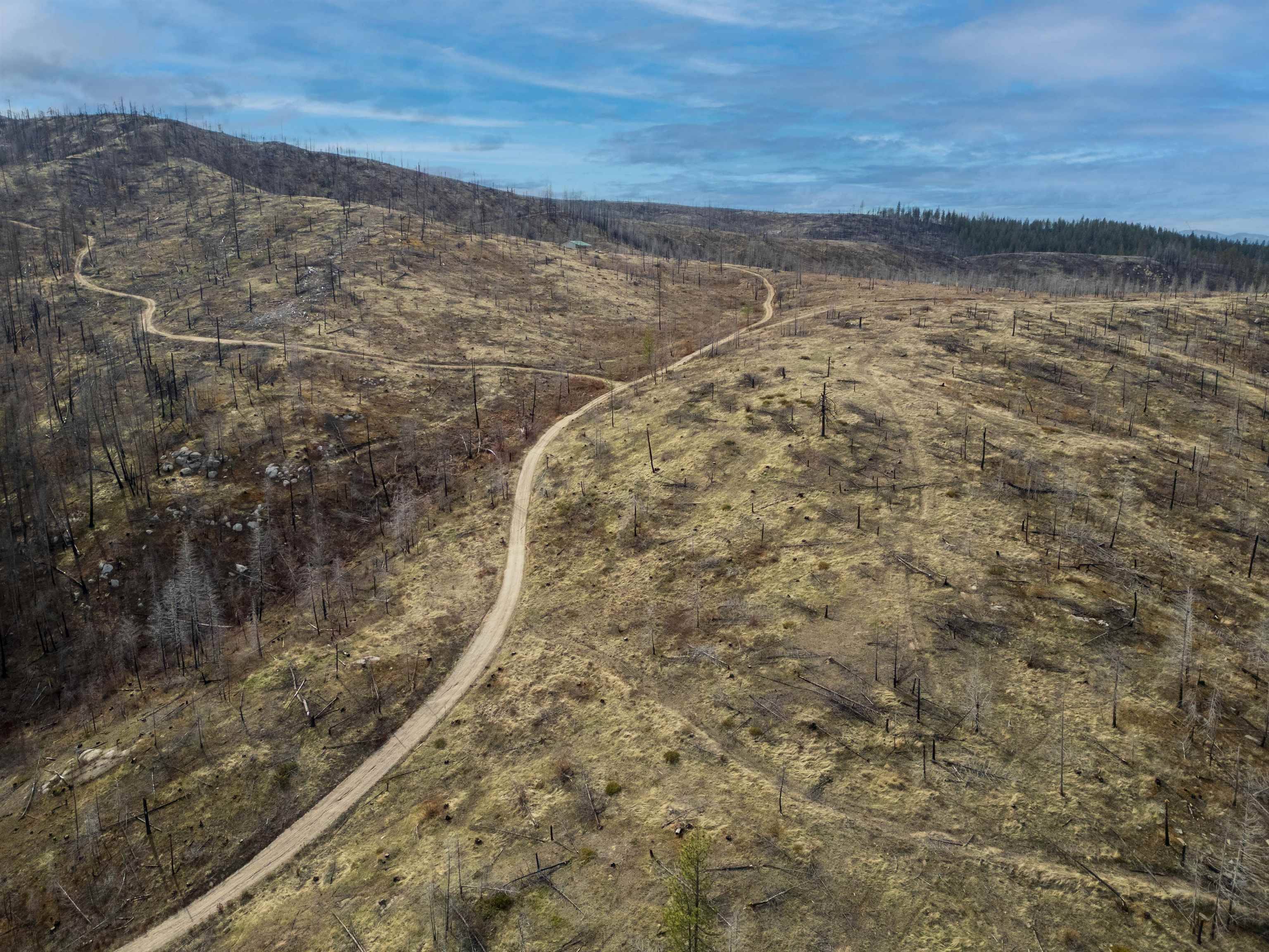 Lot 7 Rail Canyon Rd, Springdale, WA 99173