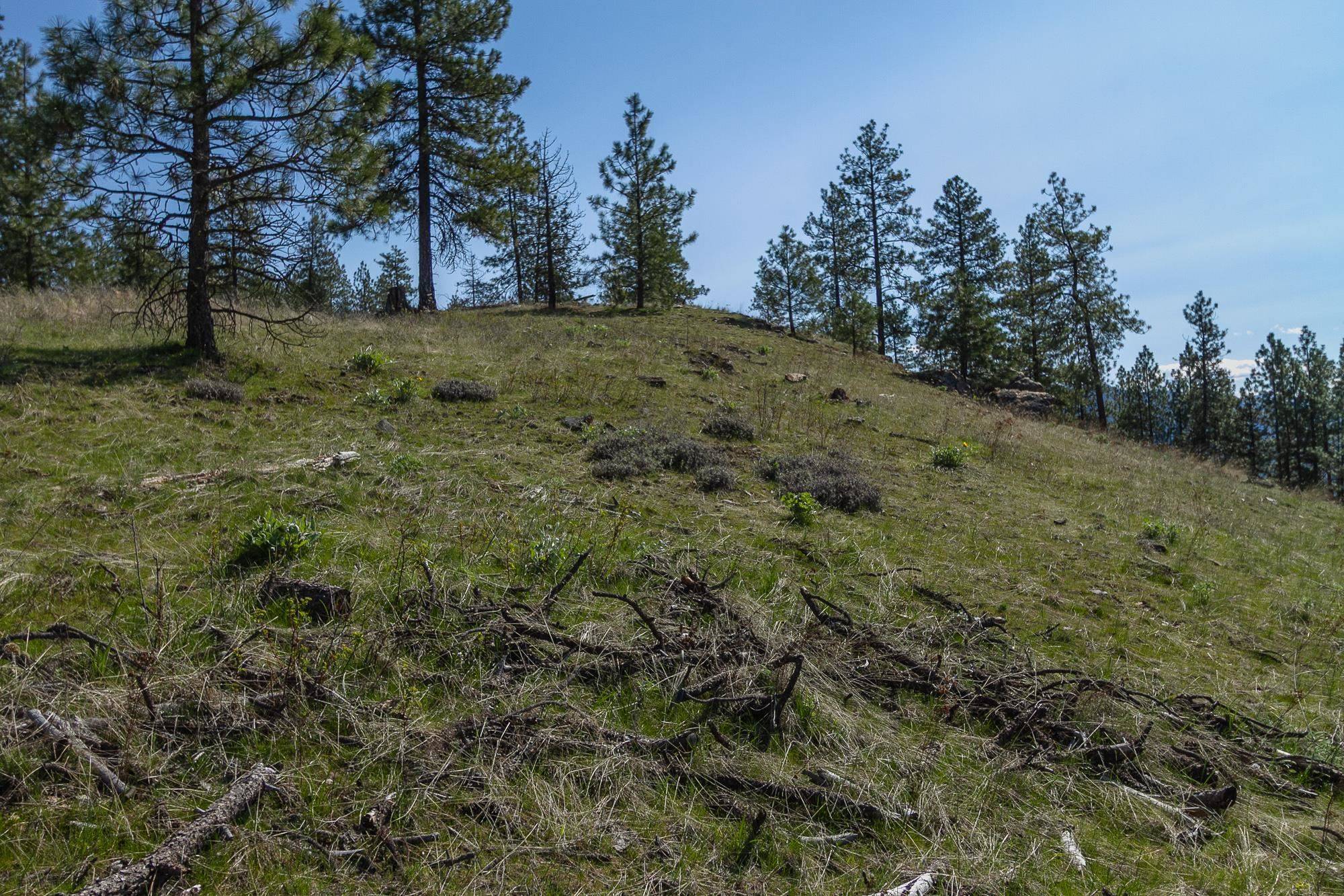 1622 Palmer LOOP, Chewelah, WA 99109