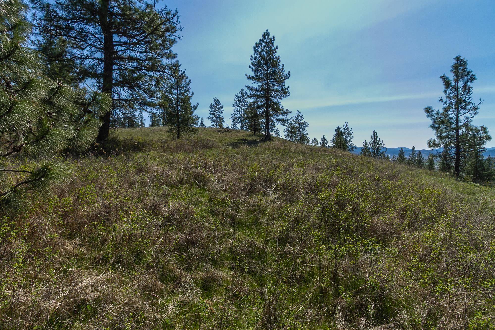 1622 Palmer LOOP, Chewelah, WA 99109
